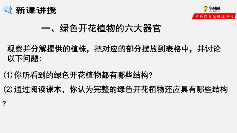 2.2.3 植物体的结构层次（课件）-2021-2022学年七年级生物上册（人教版）第3页