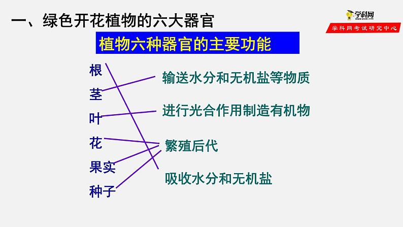 2.2.3 植物体的结构层次（课件）-2021-2022学年七年级生物上册（人教版）第5页