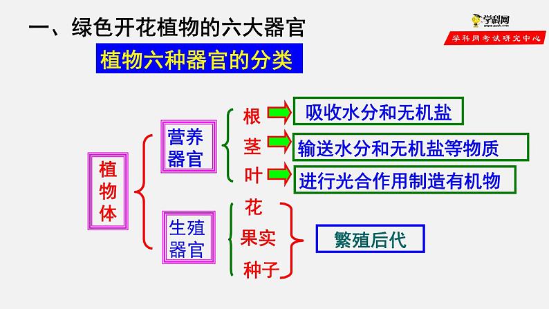 2.2.3 植物体的结构层次（课件）-2021-2022学年七年级生物上册（人教版）第6页