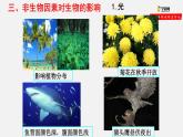 1.2.1 生物与环境的关系（第1课时)(课件）-2021-2022学年七年级生物上册（人教版）