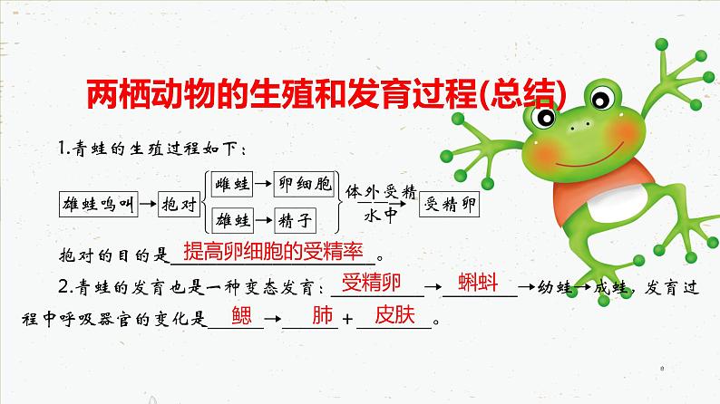 7.1.3 两栖动物的生殖和发育-2021-2022学年八年级生物下学期同课件（人教版）08