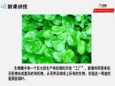 3.4 绿色植物是生物圈中有机物的制造者（课件）-2021-2022学年七年级生物上册（人教版）