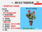 3.4 绿色植物是生物圈中有机物的制造者（课件）-2021-2022学年七年级生物上册（人教版）