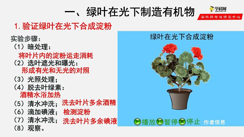 3.4 绿色植物是生物圈中有机物的制造者（课件）-2021-2022学年七年级生物上册（人教版）03