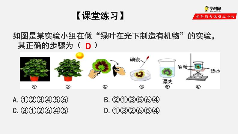 3.4 绿色植物是生物圈中有机物的制造者（课件）-2021-2022学年七年级生物上册（人教版）05