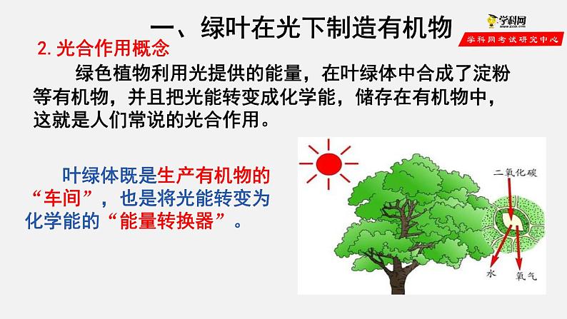 3.4 绿色植物是生物圈中有机物的制造者（课件）-2021-2022学年七年级生物上册（人教版）06