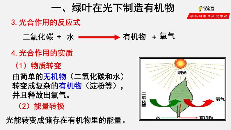 3.4 绿色植物是生物圈中有机物的制造者（课件）-2021-2022学年七年级生物上册（人教版）07