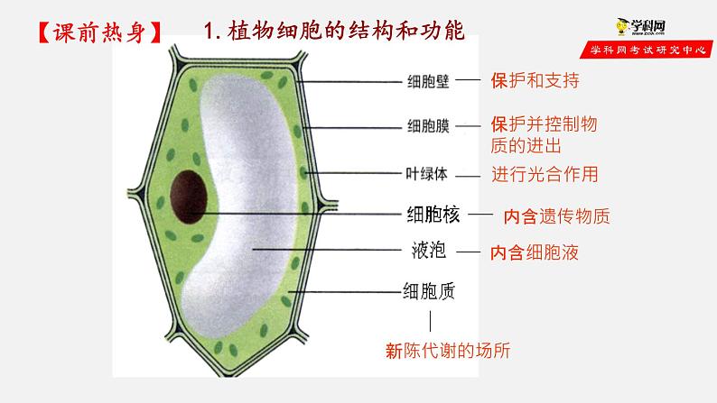 2.1.3 动物细胞（课件）-2021-2022学年七年级生物上册（人教版）第1页