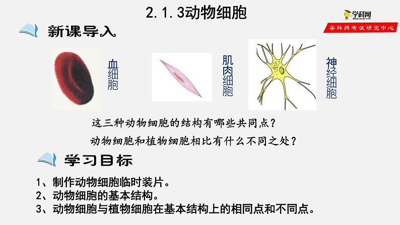 2.1.3 动物细胞（课件）-2021-2022学年七年级生物上册（人教版）第3页