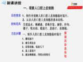 2.1.3 动物细胞（课件）-2021-2022学年七年级生物上册（人教版）
