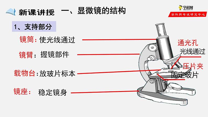 2.1.1 练习使用显微镜（课件）-2021-2022学年七年级生物上册（人教版）第2页