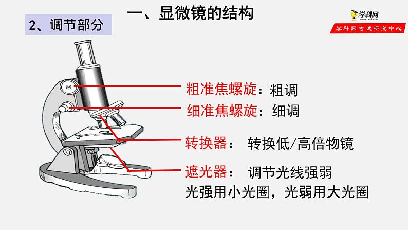 2.1.1 练习使用显微镜（课件）-2021-2022学年七年级生物上册（人教版）第3页