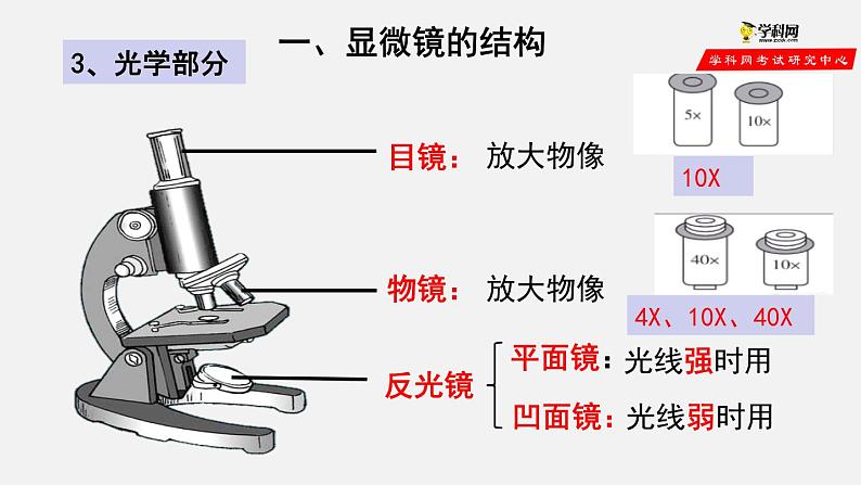 2.1.1 练习使用显微镜（课件）-2021-2022学年七年级生物上册（人教版）第4页