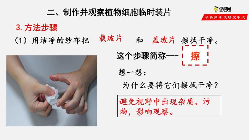 2.1.2 植物细胞（课件）-2021-2022学年七年级生物上册（人教版）第4页