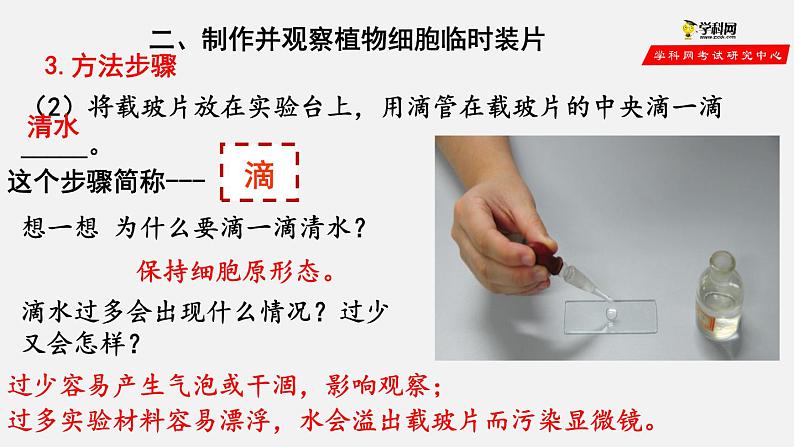 2.1.2 植物细胞（课件）-2021-2022学年七年级生物上册（人教版）第5页