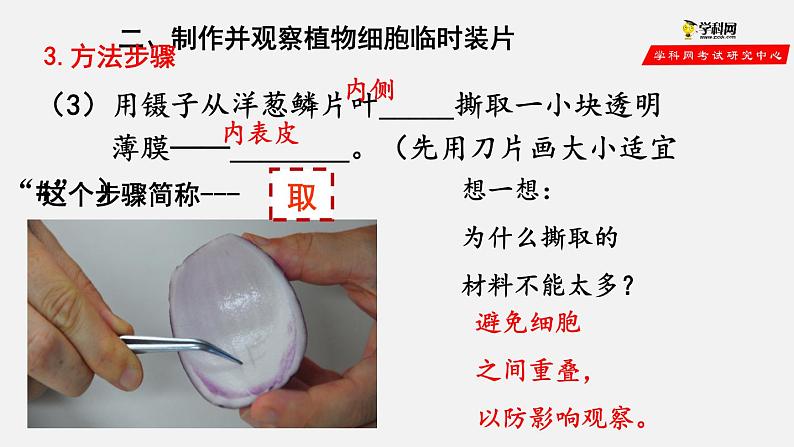 2.1.2 植物细胞（课件）-2021-2022学年七年级生物上册（人教版）第6页