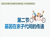 7.2.2 基因在亲子代间的传递-2021-2022学年八年级生物下学期课件（人教版）