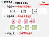 2.2.1 细胞通过分裂产生新细胞（课件）-2021-2022学年七年级生物上册（人教版）
