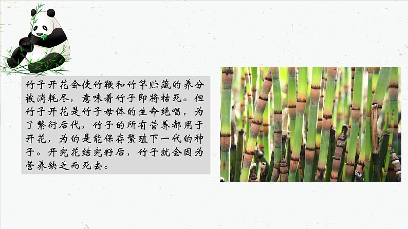 7.1.1 植物的生殖-2021-2022学年八年级生物下学期同步课件（人教版）05