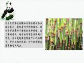 7.1.1 植物的生殖-2021-2022学年八年级生物下学期同步课件（人教版）