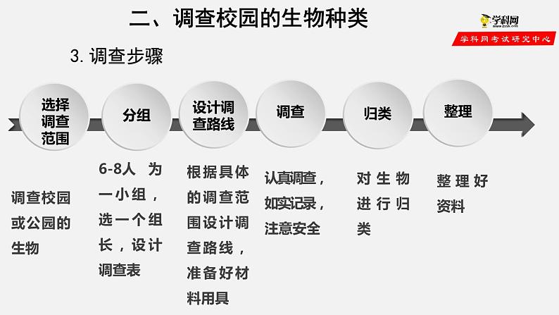 1.1.2 调查周边环境中的生物（课件）-2021-2022学年七年级生物上册（人教版）06