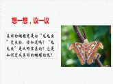 7.1.2 昆虫的生殖和发育-2021-2022学年八年级生物下学期课件（人教版）