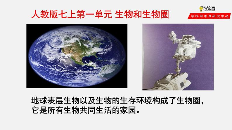 1.1.1 生物的特征（课件）-2021-2022学年七年级生物上册（人教版）01