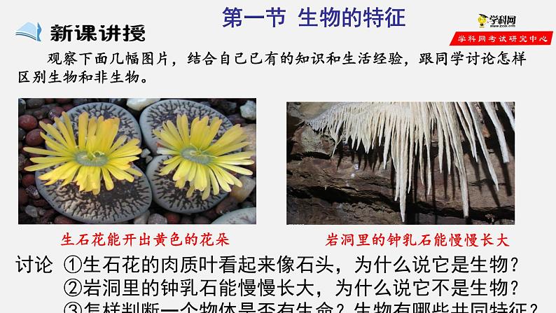 1.1.1 生物的特征（课件）-2021-2022学年七年级生物上册（人教版）04