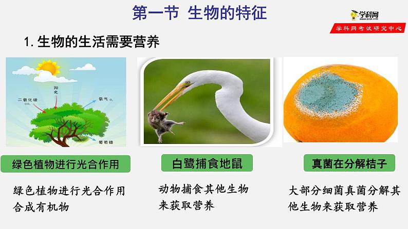 1.1.1 生物的特征（课件）-2021-2022学年七年级生物上册（人教版）06