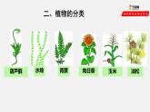6.1.1 尝试对生物进行分类（课件）-2021-2022学年八年级生物上册（人教版）
