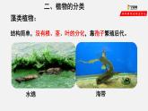 6.1.1 尝试对生物进行分类（课件）-2021-2022学年八年级生物上册（人教版）