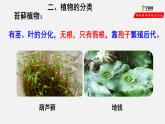 6.1.1 尝试对生物进行分类（课件）-2021-2022学年八年级生物上册（人教版）