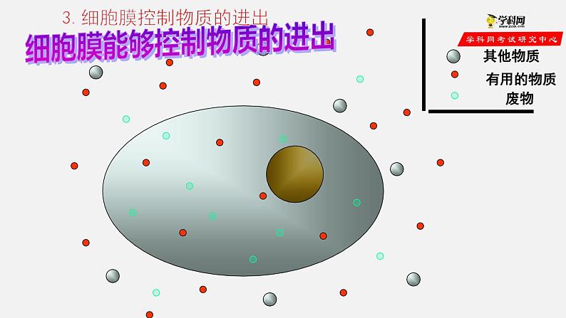 2.1.4 细胞的生活（课件）-2021-2022学年七年级生物上册（人教版）第6页