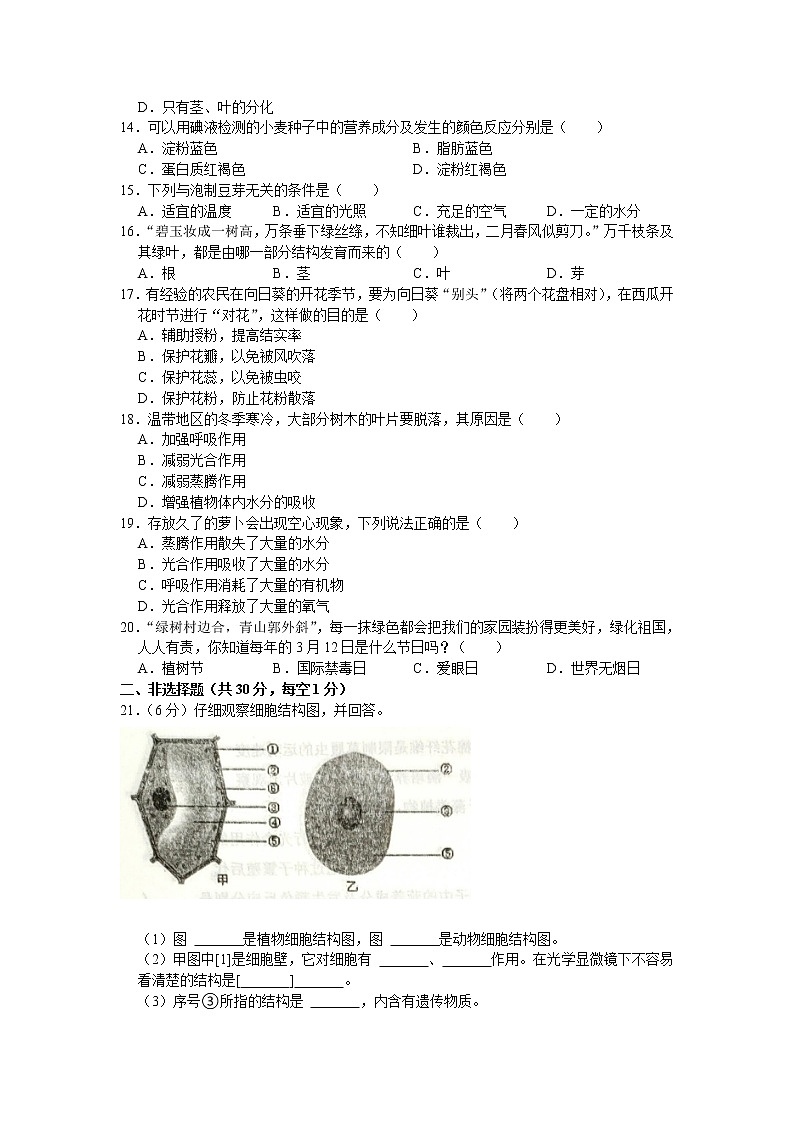 吉林省四平市伊通县2021-2022学年七年级上学期期末生物试卷（word版 含答案）第2页