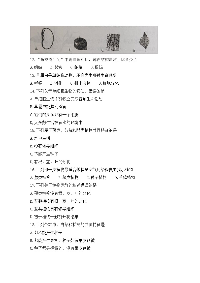 广东省江门市恩平市2021-2022学年上学期期末调研七年级生物试卷（word版 含答案）03