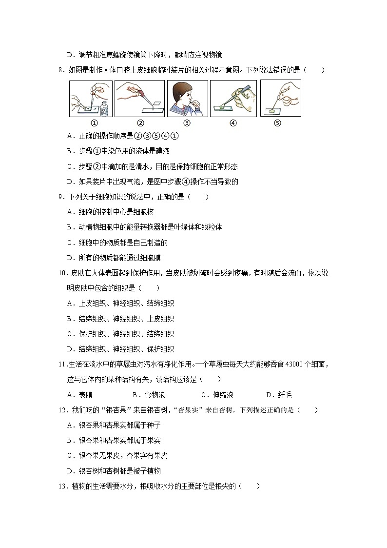 吉林省长春市农安县2021-2022学年七年级上学期期末生物试卷（word版 含答案）第2页