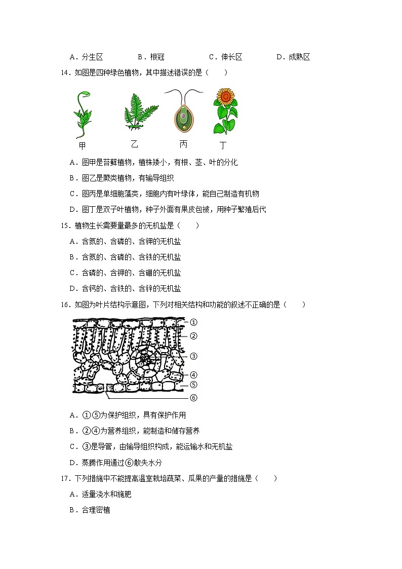 吉林省长春市农安县2021-2022学年七年级上学期期末生物试卷（word版 含答案）第3页