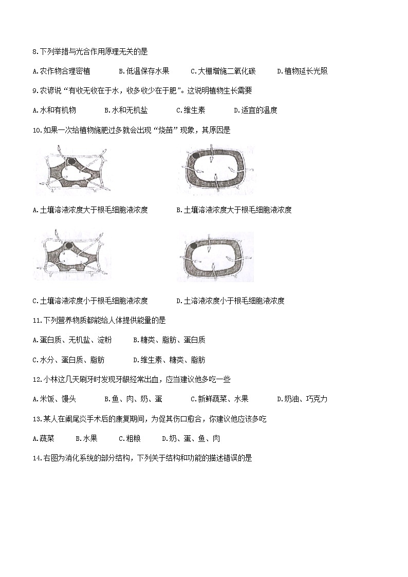 江苏省泰州市兴化市2021-2022学年七年级上学期期末生物试题（word版 含答案）第3页