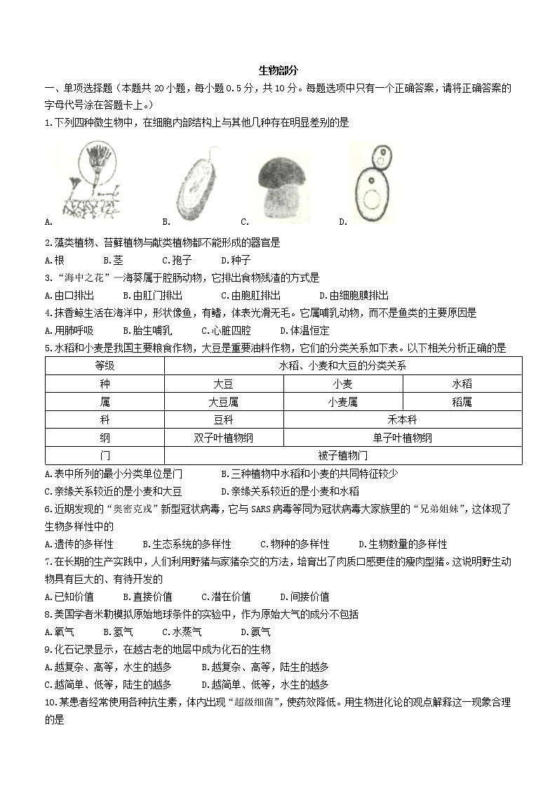 江苏省盐城市滨海县2021-2022学年八年级上学期期末生物试题（word版 含答案）第1页