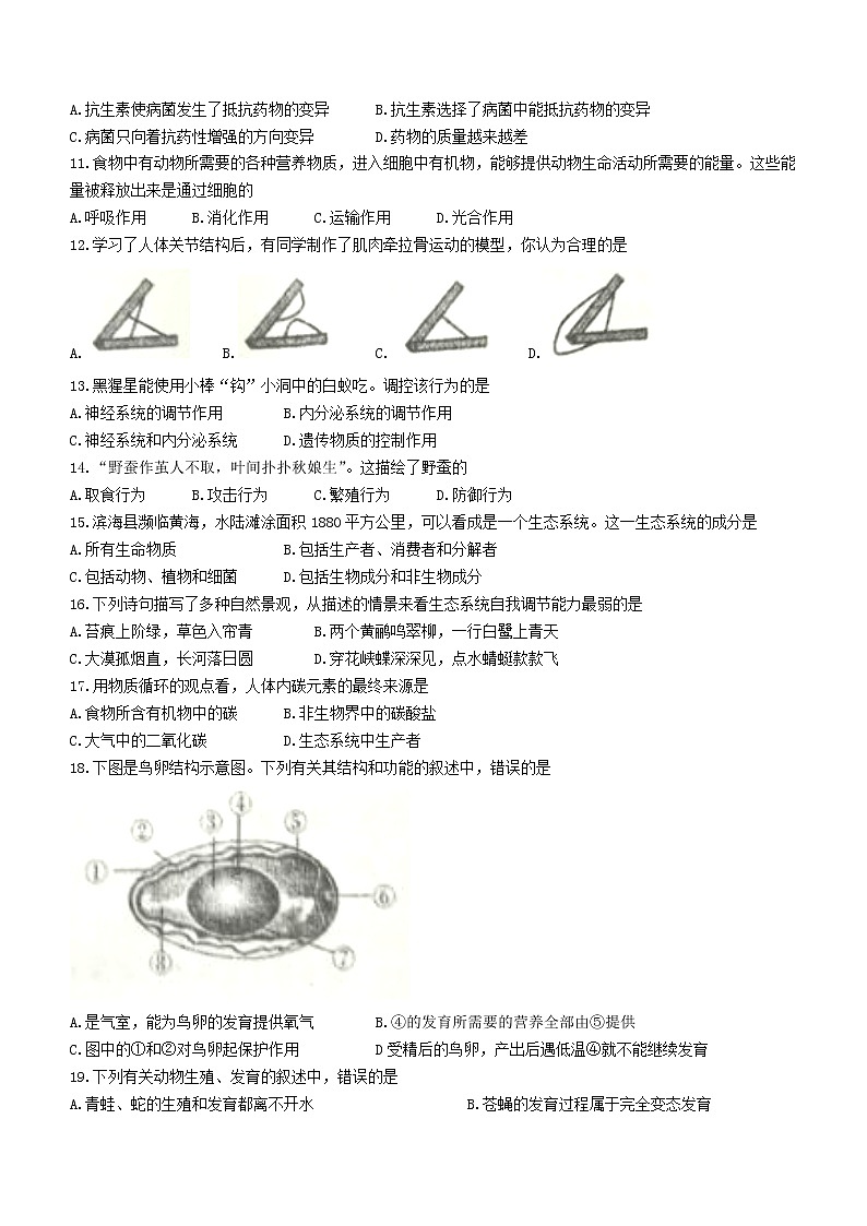 江苏省盐城市滨海县2021-2022学年八年级上学期期末生物试题（word版 含答案）第2页