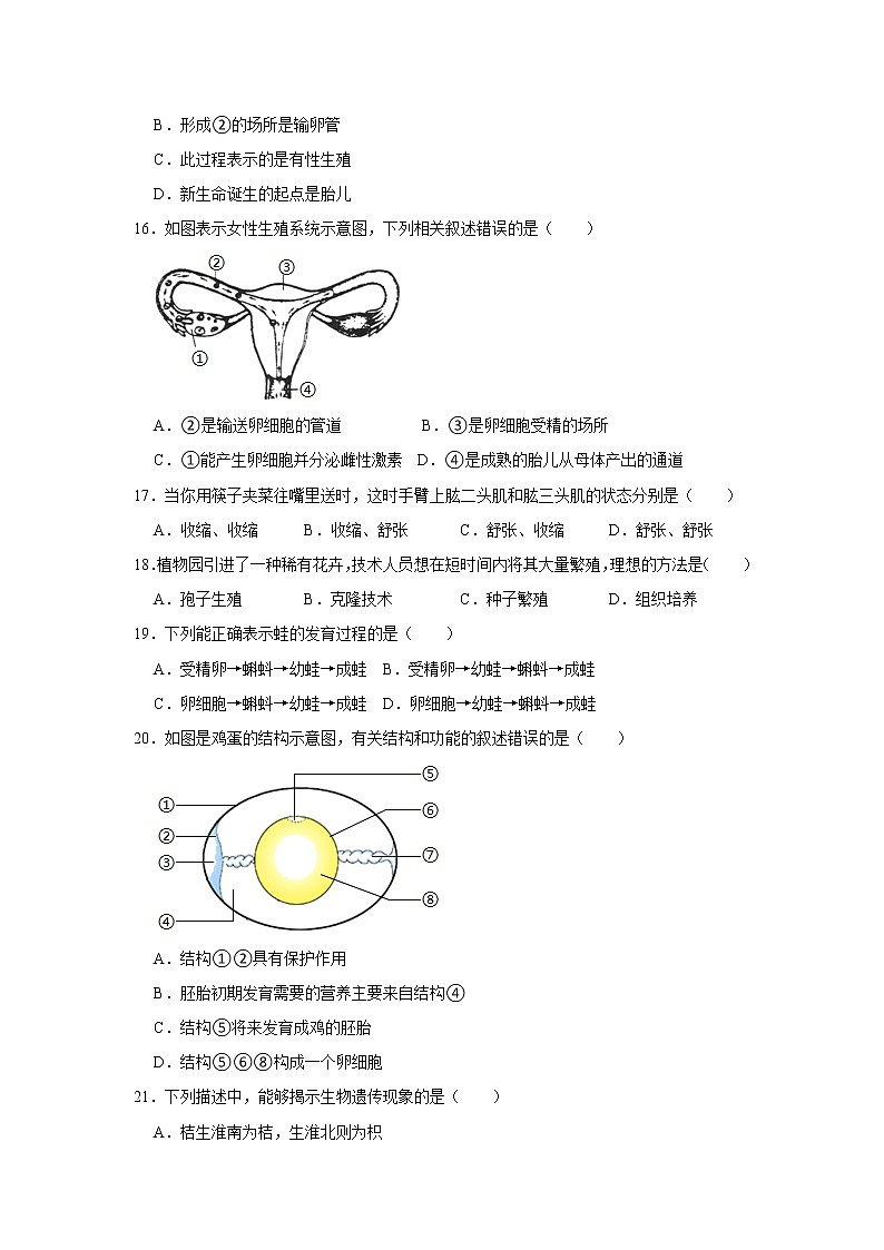 广东省韶关市乐昌市2021-2022学年上学期期末质量抽测八年级生物试卷  解析版03