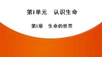 2021年 中考广东专用生物知识点梳理复习第1单元 第1章　生命的世界  课件