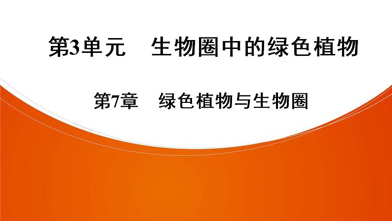 2021年中考广东专用生物知识点梳理复习第3单元 第7章　绿色植物与生物圈  课件01