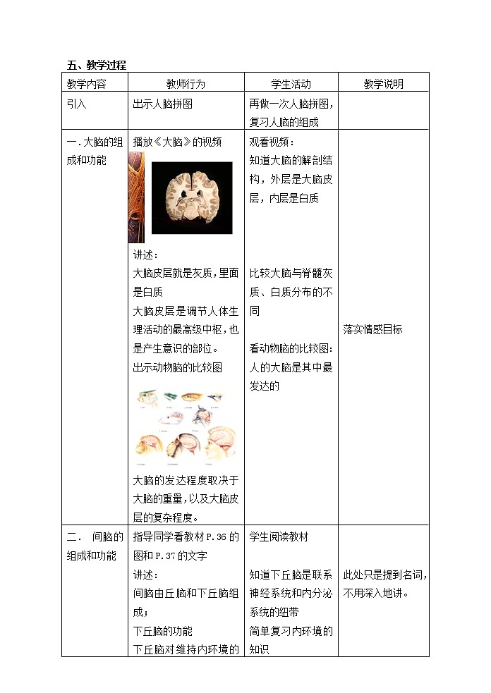 八年级生物上册第2章人体生命活动的调节第1节神经调节第2课时同步教案沪教版02