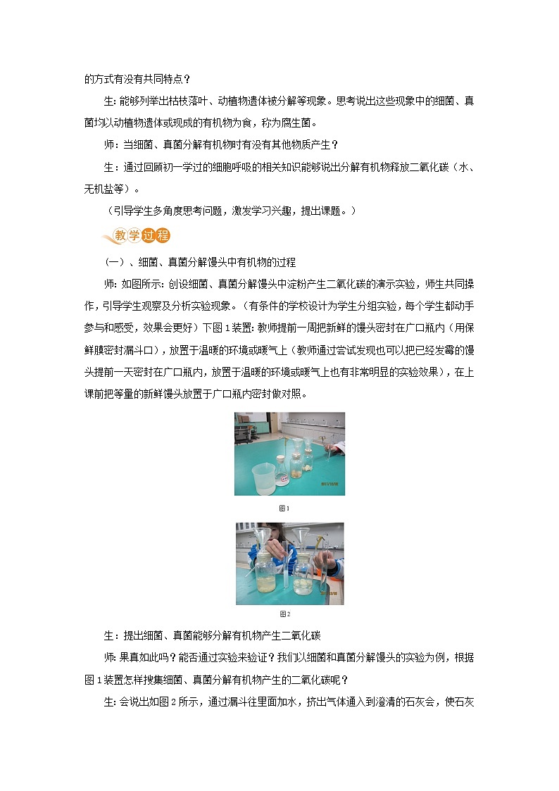 八年级生物上册第五单元生物圈中的其他生物第四章细菌和真菌第四节细菌和真菌在自然界中的作用教案新人教版02