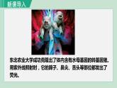 人教版八年级生物下册 7.1.1植物的生殖 课件