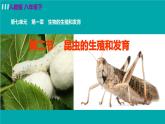 人教版八年级生物下册 7.1.2昆虫的生殖和发育 课件