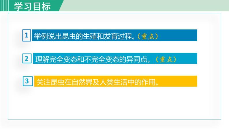 人教版八年级生物下册 7.1.2昆虫的生殖和发育 课件03