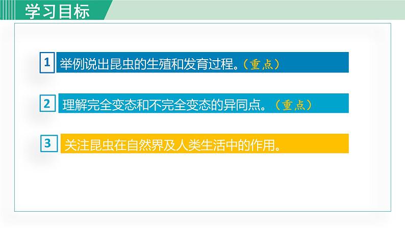 人教版八年级生物下册 7.1.2昆虫的生殖和发育 课件03