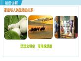 人教版八年级生物下册 7.1.2昆虫的生殖和发育 课件